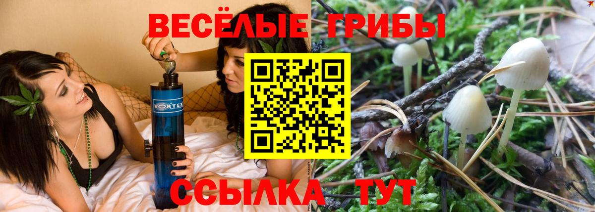 Галлюциногенные грибы GOLDEN TEACHER  Вход с VPN  Йошкар-Ола 
