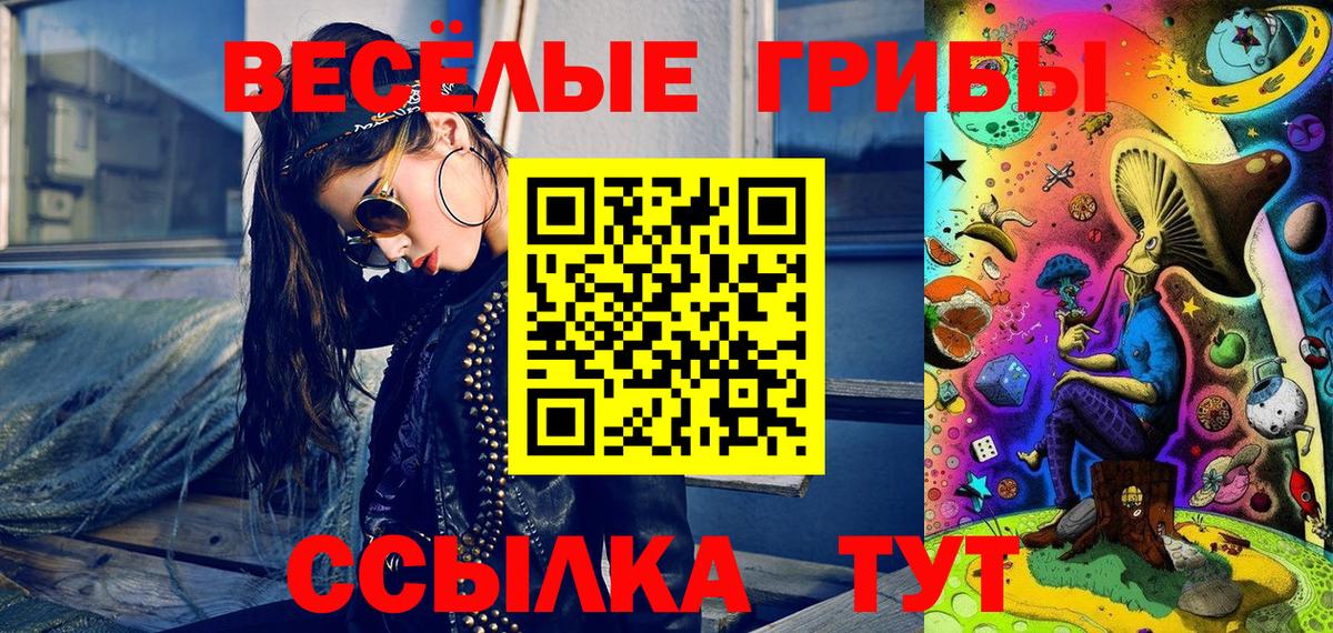 Галлюциногенные грибы Psilocybe Йошкар-Ола